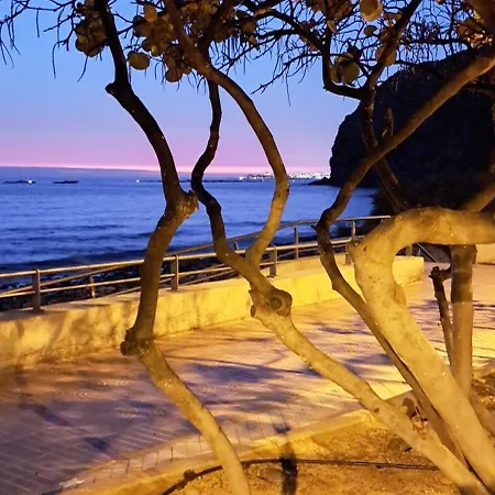 Casa Teraza דירה פאלם-מאר