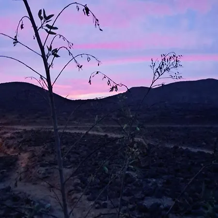 Casa Teraza * פאלם-מאר