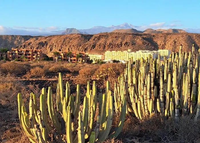 Casa Teraza Lägenhet