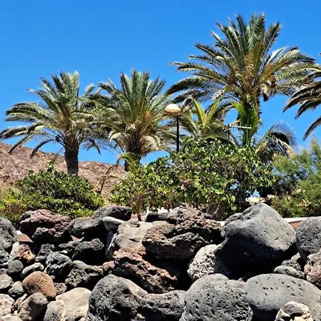 Casa Teraza Lägenhet Palm-mar